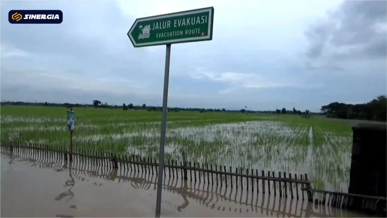 sawah ngawi terendam