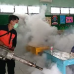 Penderita DBD Meningkat, Dinkes Gencar Fogging juga Ingatkan Pentingnya PSN