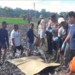 Pencari Belut Ditemukan Tewas Diduga Tersengat Listrik Perangkap Tikus