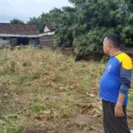 500 Warga Terdampak Akibat Banjir Bandang Josaren Desa Sugihwaras