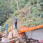 3 Warung di Telaga Sarangan Magetan Rusak Tertimpa Pohon