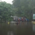 Sungai Bengawan Solo Meluap, Banjir Rendam Wilayah Kec. Pitu Ngawi