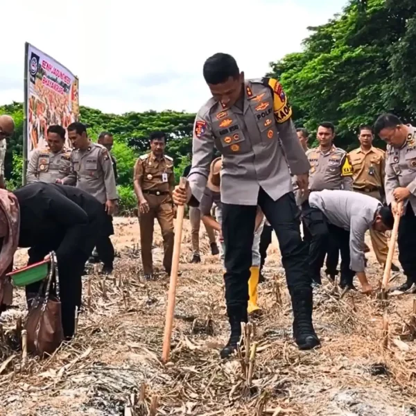 Polres Ponorogo Tanam Jagung Benih Bhayangkara, Dukung Swasembada Pangan