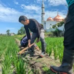Banyak Permasalahan Aset di Bumi Kampung Pesilat, Komisi C bakal panggil BPKAD