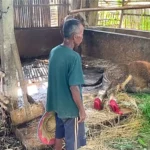 Atasi PMK, Pemkab Ponorogo Alokasikan 3.500 Dosis Vaksin
