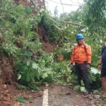 Tebing Kandangan Longsor Putus Akses Alternatif Madiun – Ponorogo, Butuh Alat Berat Untuk Evakuasi Material