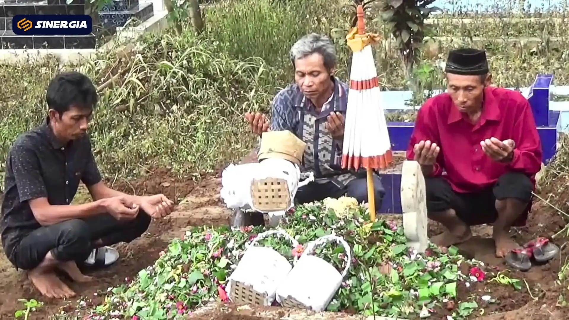 Lagi ! Seorang Warga di Ngawi jadi Korban Keganasan Tawon Vespa