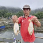 Ribuan Ikan Mati di Telaga Ngebel Diduga Akibat Gas Belerang