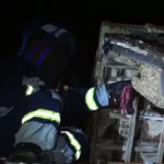 Waspada! Tiga Bulan Damkar Madiun Tangani 77 Aduan Tawon Vespa
