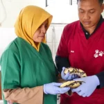 Ayo Cek Kesehatan Hewan Kesayangan di DKPP Kota Madiun