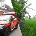 Kakek 50 Tahun Tewas di Sawah Diduga Tersengat Listrik Jebakan Tikus