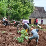3 Rumah Warga di Desa Durenan Gemarang Tertimpa Tanah Longsor
