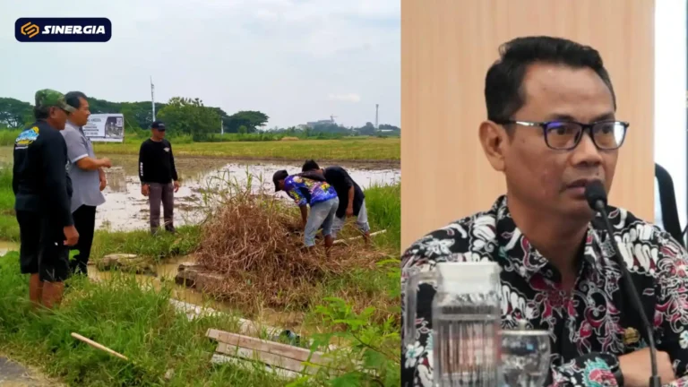 Salinan dari Salinan dari TEMPLATE GAMBAR POST