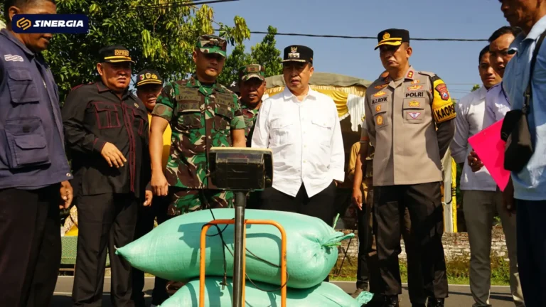 PANEN RAYA MDN KAB 1