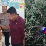 Tega! Bayi Ditemukan Terlantar di Sawah Hanya Berbalut Jaket dan Kardus