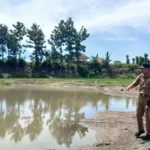 Bekas Galian C Memakan Korban, Pemdes Tulung Pasangi Papan Peringatan