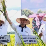 Wagub Emil Minta Bulog Serap Hasil Panen Petani Secara Cepat 