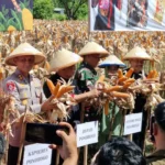 Kapolres Panen Jagung Bhayangkara, Produksi Tembus 10,9 Ton per Hektar
