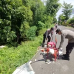 Retakan Akibat Longsor Ancam Jalan Raya Sampung-Parang