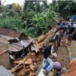 Pohon Raksasa Berusia Ratusan Tahun Roboh, Timpa Rumah Warga