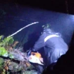 Pohon Tumbang Lumpuhkan Akses Jalan Menuju Telaga Sarangan, Listrik Padam