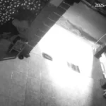 Terekam CCTV, Maling Kotak Amal Satroni Mushola Nurul Iman Ponorogo