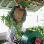 Mesin Pencacah TNI Buatan Denpal V/1 Bantu Peternak, Ini Keunggulannya