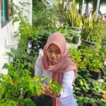 BPS Kota Madiun Apresiasi Kebijakan Wajib Tanam Cabai dan Tomat bagi ASN