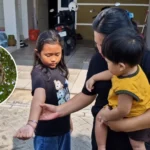 Ancam Anak-Anak, Damkar Ponorogo Evakuasi Sarang Tawon Vespa
