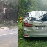Pohon Tumbang Timpa Satu Mobil, Jalur Sarangan – Cemorosewu Tertutup Total