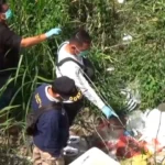 Diduga Laka Tunggal, Perempuan 19 Tahun Ditemukan Tewas di Semak-Semak Bersama Motornya 
