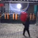 Viral! CCTV Rekam Aksi Maling Burung Kontes di Ponorogo, 4 Ekor Raib Sekejap