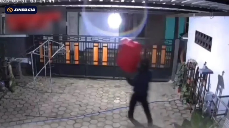 MALING MANUK E LEK EGA