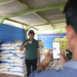 Pupuk Indonesia Uji Coba Fitur Baru i-Pubers, Permudah Distribusi Pupuk Subsidi