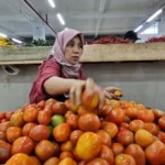 Harga Tomat di Ponorogo Meroket, Tembus Rp28 Ribu per Kilogram