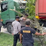 Evakuasi Pohon Tumbang di Jalan Soekarno-Hatta Ngawi, Polisi Gerak Cepat Atasi Gangguan Lalu Lintas