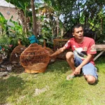 Kisah Hadi Nasirin Tangkar Ayam Hutan Hijau yang Kian Langka
