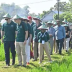 Delegasi Uni Eropa Tinjau Proyek Beras Rendah Karbon di Madiun, Dorong Pertanian Ramah Iklim