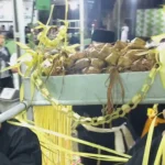 Warga Desa Metesih Gelar Tradisi Ketupat Asyura Sambut Tahun Baru Islam