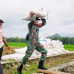 Babinsa Korem 081/DSJ, Wujud Nyata TNI Hadir di Tengah Masyarakat