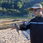 Ribuan Ikan di Telaga Ngebel Kembali Mati, Diduga Akibat Naiknya Gas Belerang