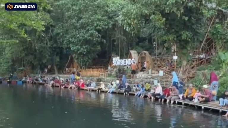 SalinandariSalinandariSalinandariSalinandariSalinandariSalinandariTEMPLATEGAMBARPOST-ezgif.com-jpg-to-webp-converter (1)