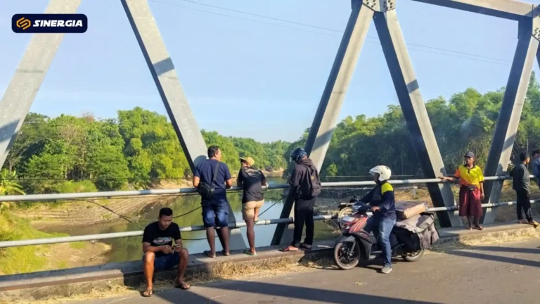 SalinandariSalinandariSalinandariSalinandariSalinandariSalinandariTEMPLATEGAMBARPOST-ezgif.com-jpg-to-webp-converter (2)