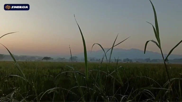 SalinandariSalinandariSalinandariSalinandariSalinandariSalinandariTEMPLATEGAMBARPOST-ezgif.com-jpg-to-webp-converter