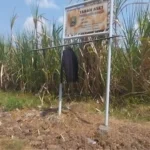 Karangrejo Jadi Lokasi Alternatif Sekolah Rakyat Magetan, Nilai Proyek Diperkirakan Senilai Rp. 200 Miliar