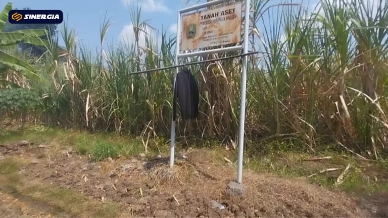 SalinandariSalinandariSalinandariSalinandariSalinandariTEMPLATEGAMBARPOST1-ezgif.com-jpg-to-webp-converter