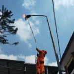Damkar Kota Madiun Evakuasi Sarang Tawon Vespa di Kantor KPU Kota Madiun 
