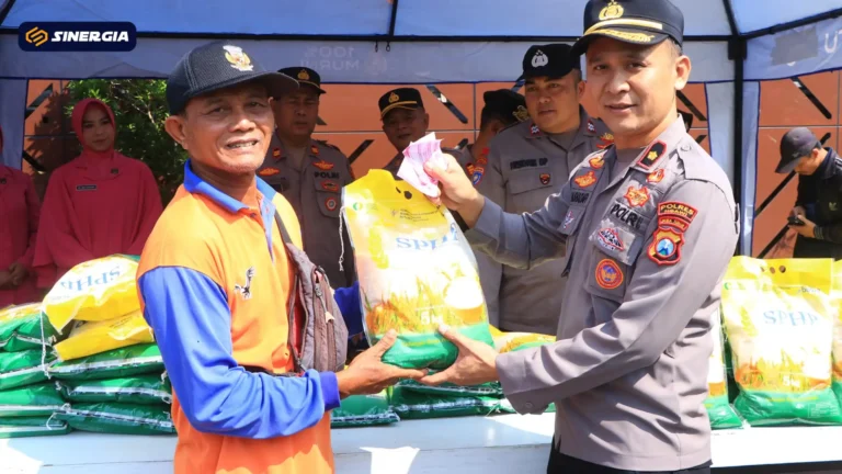 SalinandariSalinandariSalinandariSalinandariSalinandariSalinandariTEMPLATEGAMBARPOST-ezgif.com-jpg-to-webp-converter (2)