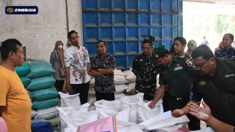 SalinandariSalinandariSalinandariSalinandariSalinandariSalinandariTEMPLATEGAMBARPOST-ezgif.com-jpg-to-webp-converter (2)