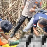 Warga Tawangrejo Tewas Terjebak Kebakaran Perkebunan Tebu di Dolopo